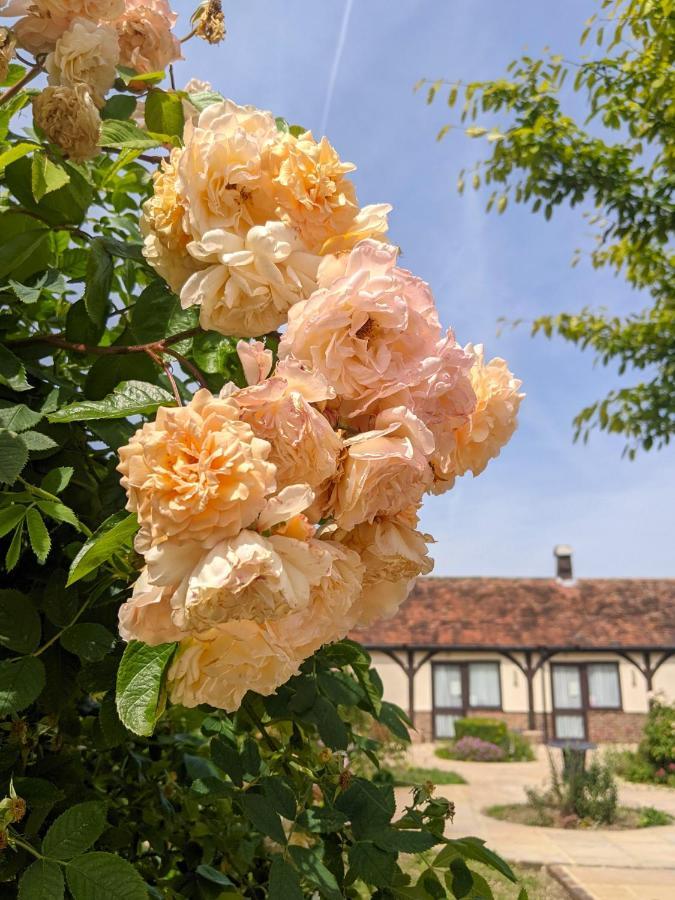 Kingfisher Barn B&B Абингдон Экстерьер фото